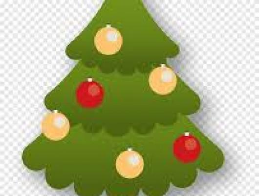 RAMASSAGE DES SAPINS