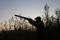 LOCATION CHASSE COMMUNALE 2024-2033 : destination du produit de la chasse
